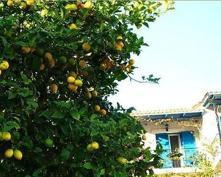 Lejlighedshotel Fiorita